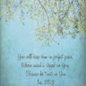 Meet your Posher, Tracy